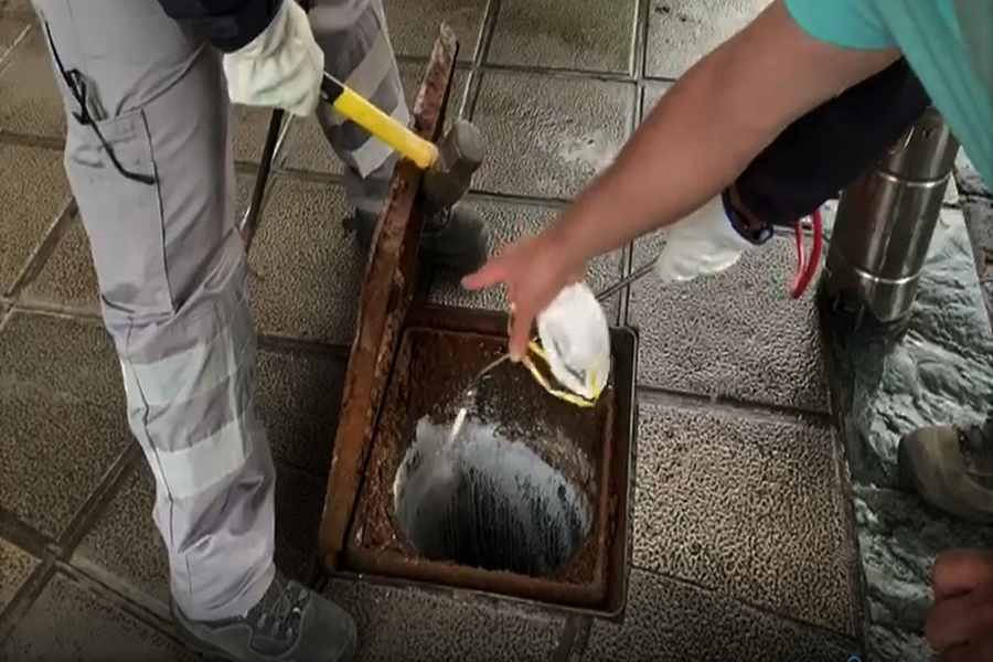 El Ayuntamiento utiliza una novedosa pintura insecticida para reducir las plagas en la capital