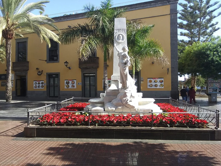 El Ayuntamiento engalana las calles y plazas de la ciudad con 31.000 flores de Pascua con motivo de la Navidad