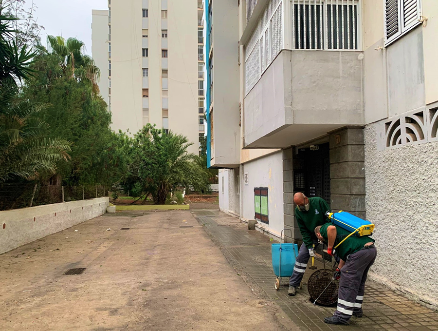 Salud Pública consolida el uso de la pintura insecticida en los barrios con una segunda actuación especial en la Vega de San José