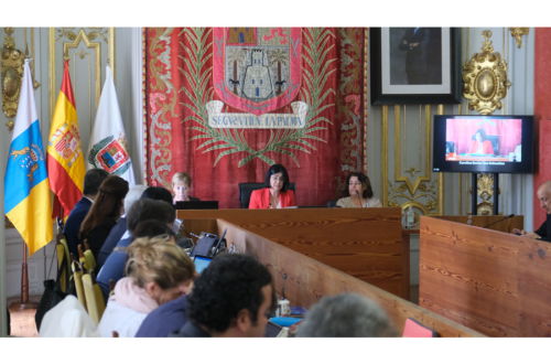 El Pleno municipal aprueba una declaración institucional para la visibilización y lucha contra el lupus