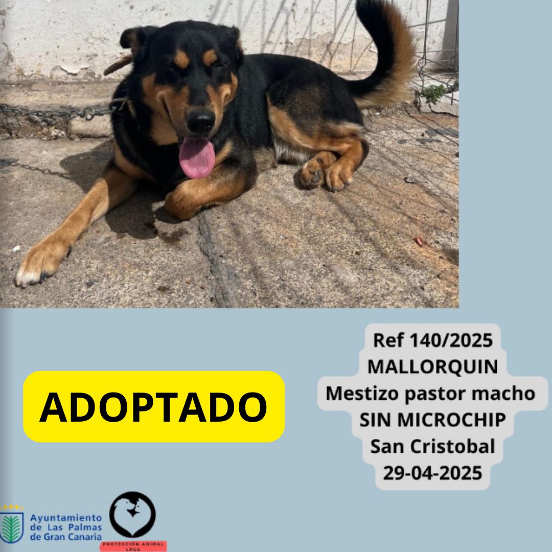 ADOPTADO (11)