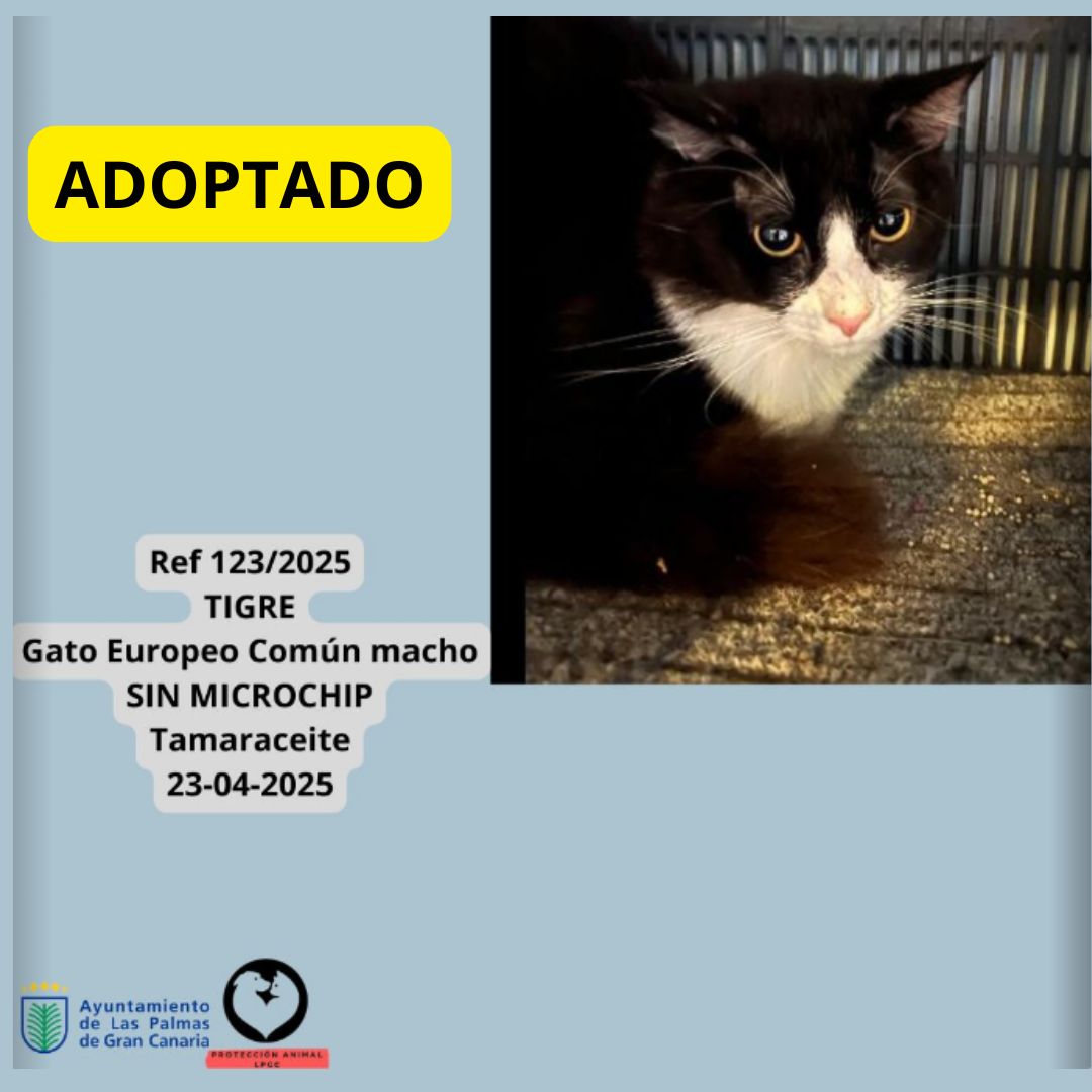 ADOPTADO (14)