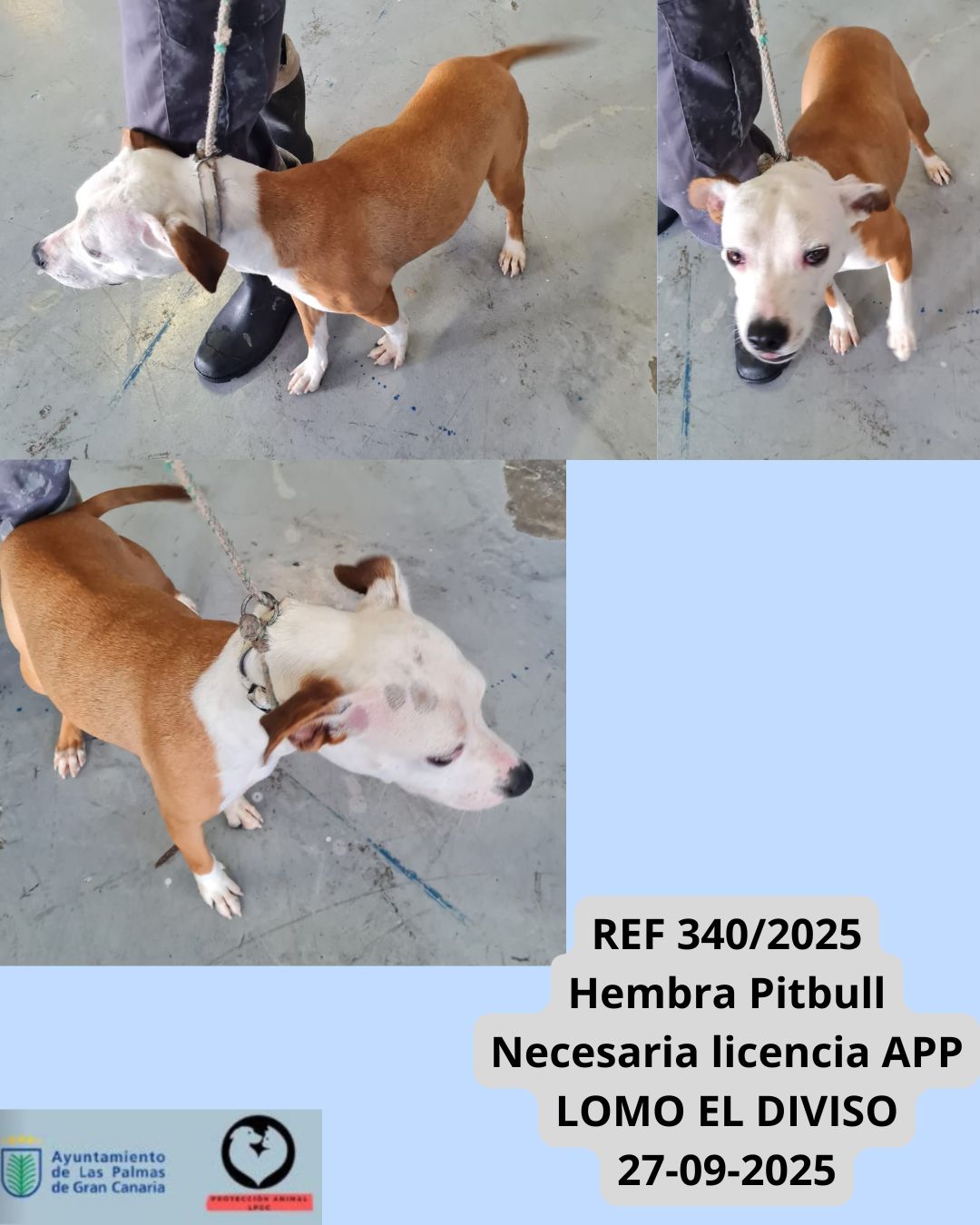 REF 3402025