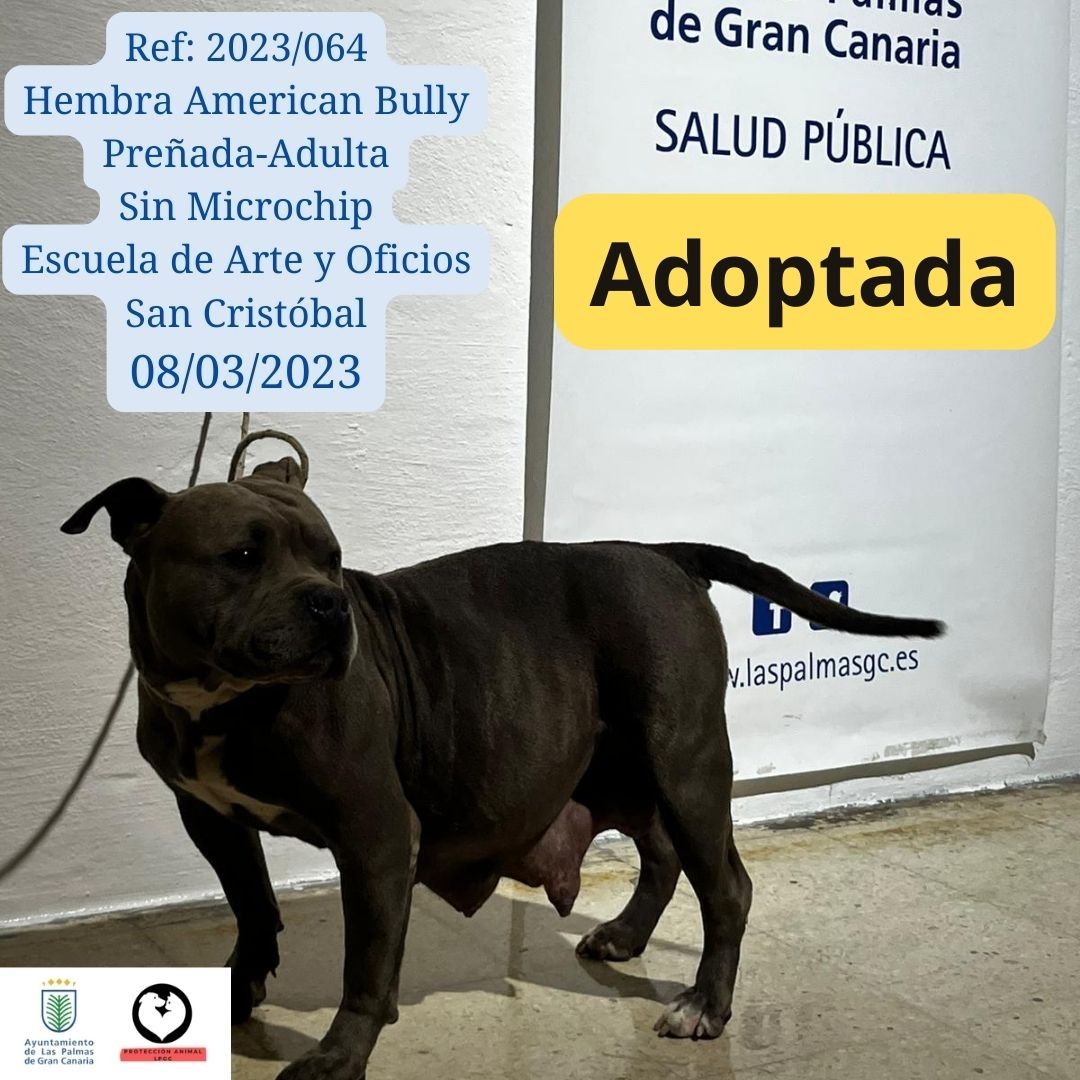 Adoptada