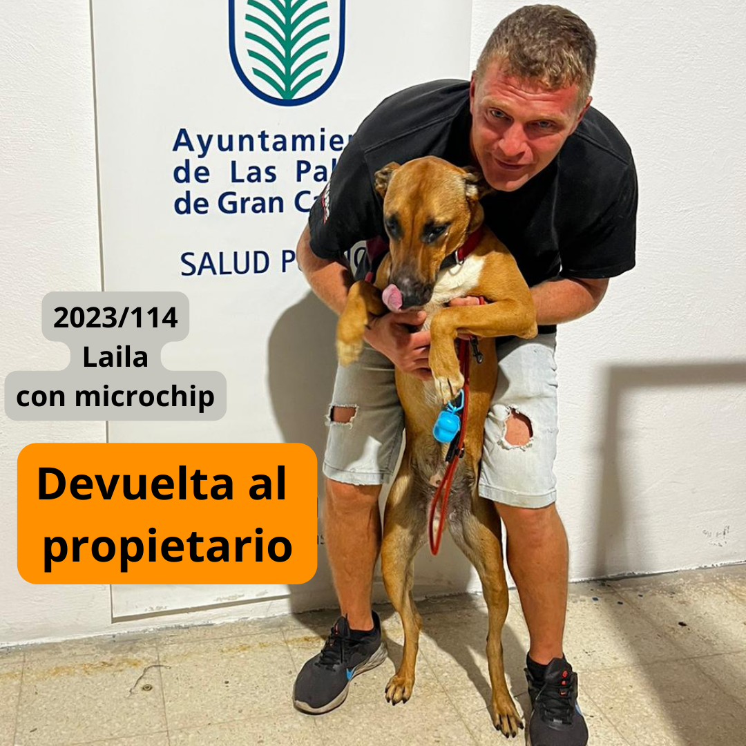 Devuelta al propietario