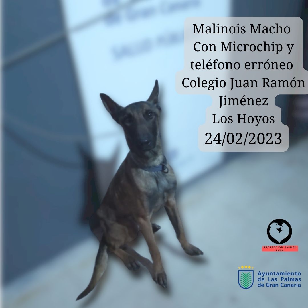 Ref 2023050 Mestizo Presa El Batán Calle Severo Ochoa 16022023 (2)