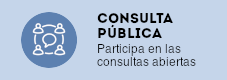 Consulta Pública