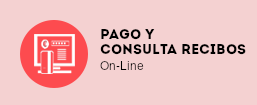 Pago y obtención de recibos on-line