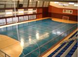 Polideportivo El Batán_img_001