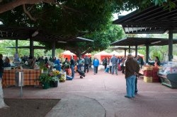 EL MERCADILLO DEL AGRICULTOR