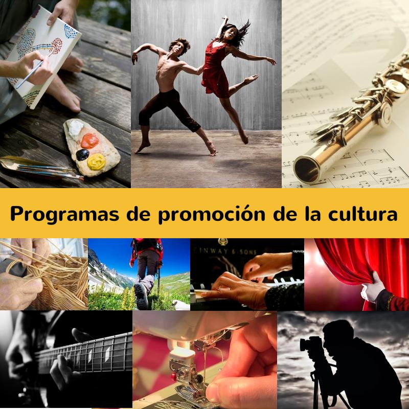 Programas de promocion de la cultura