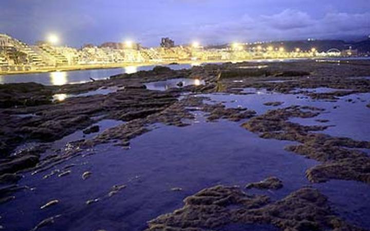 Las Canteras desde la barra de noche