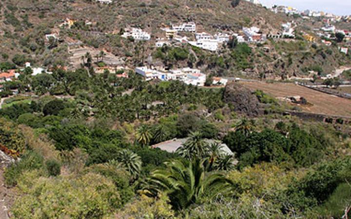 Panorámica del Jardín Canario