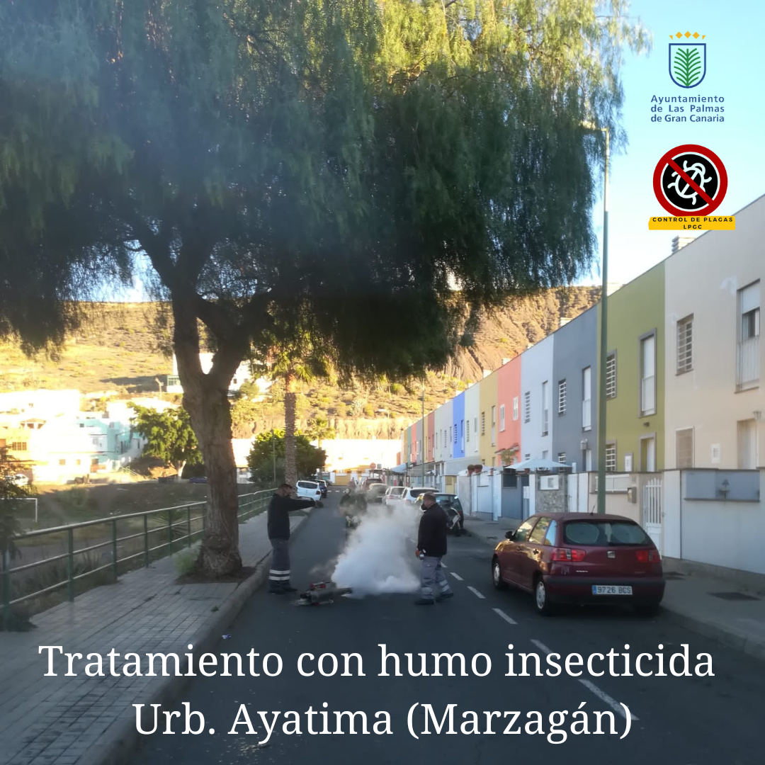 Tratamiento con humo insecticida Urb. Ayatima (Marzagán)