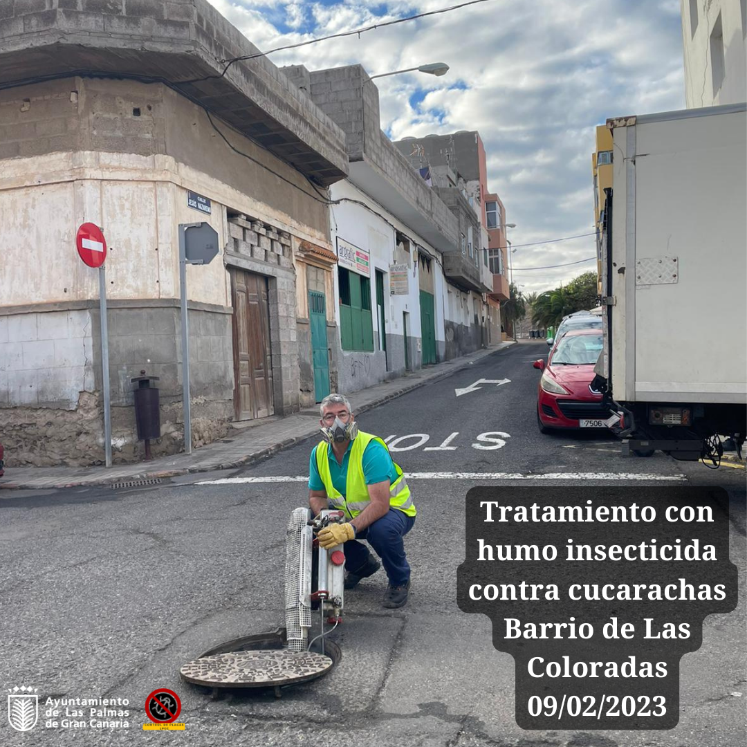 Tratamiento con humo insecticida contra cucarachas Barrio de Las Coloradas 09022023