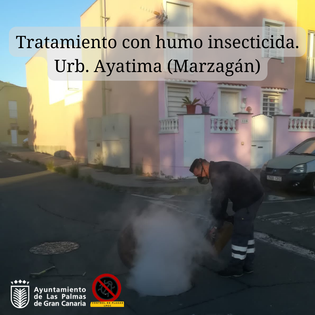 Tratamiento con humo insecticida. Urb. Ayatima (Marzagán)