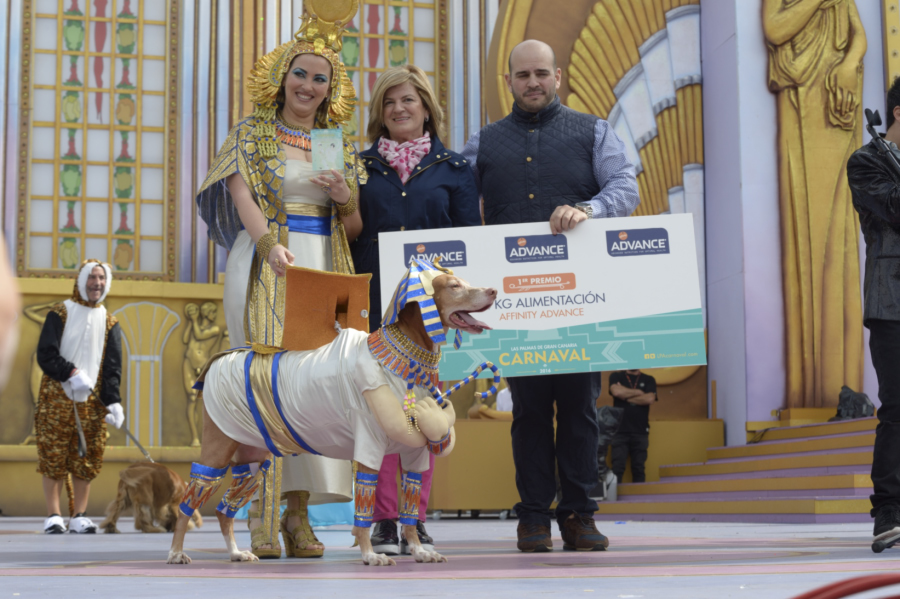 Primer premio Carnaval Canino 2016