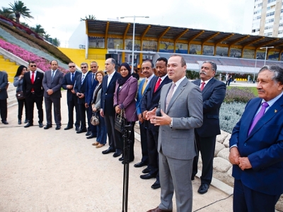 Olivo en el parque del Estadio Insular como símbolo de la paz 1