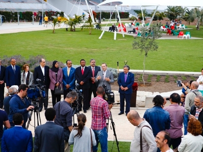 Olivo en el parque del Estadio Insular como símbolo de la paz 3