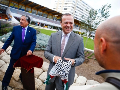 Olivo en el parque del Estadio Insular como símbolo de la paz 4
