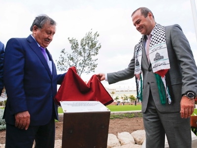 Olivo en el parque del Estadio Insular como símbolo de la paz 5