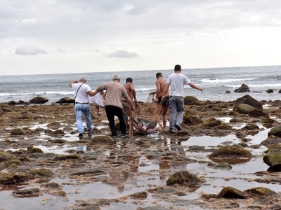 Rescate del chucho que quedó atrapado en las piscinas de La Laja 1