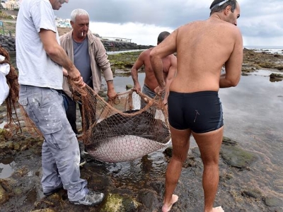 Rescate del chucho que quedó atrapado en las piscinas de La Laja 2