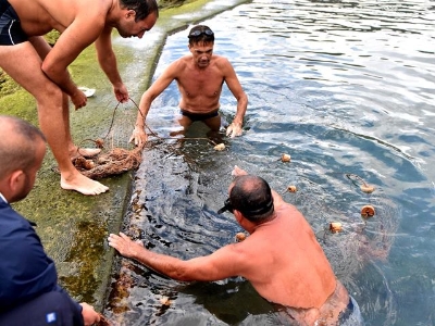 Rescate del chucho que quedó atrapado en las piscinas de La Laja 7