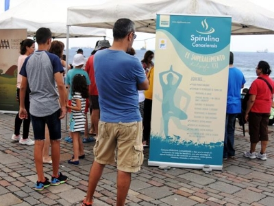 San Cristóbal, Mini feria Océanos