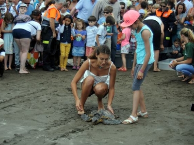 Suelta de tortugas San Cristóbal 1