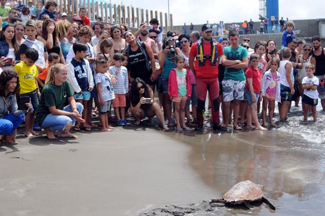 Suelta de tortugas San Cristóbal 3