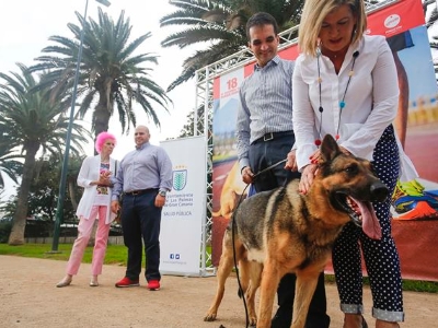 Carrera solidaria Perro-Amo 2
