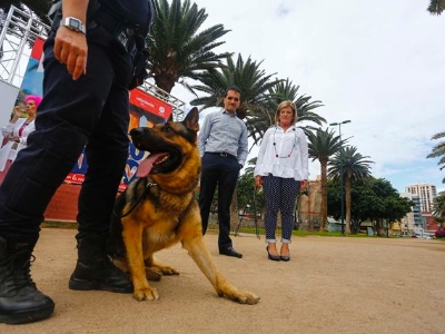 Carrera solidaria Perro-Amo 3