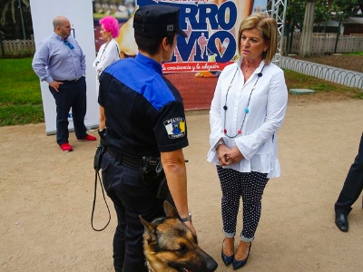 Carrera solidaria Perro-Amo 4