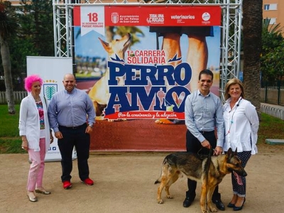 Carrera solidaria Perro-Amo