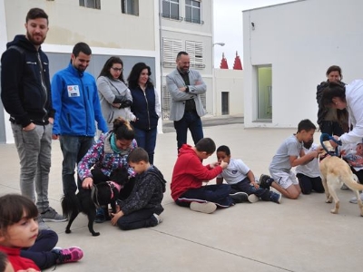 Curso perros San Roque 1