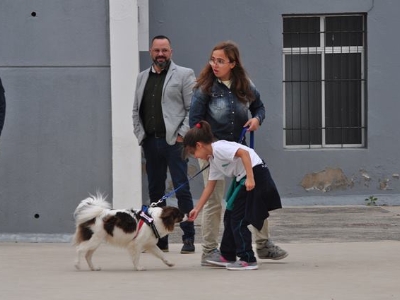 Curso perros San Roque 3