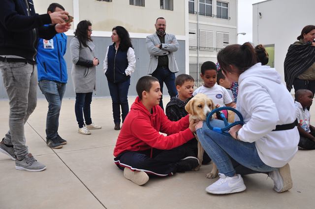 Curso perros San Roque 4