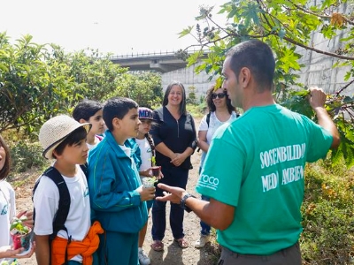 Día Mundial del Medio Ambiente 6