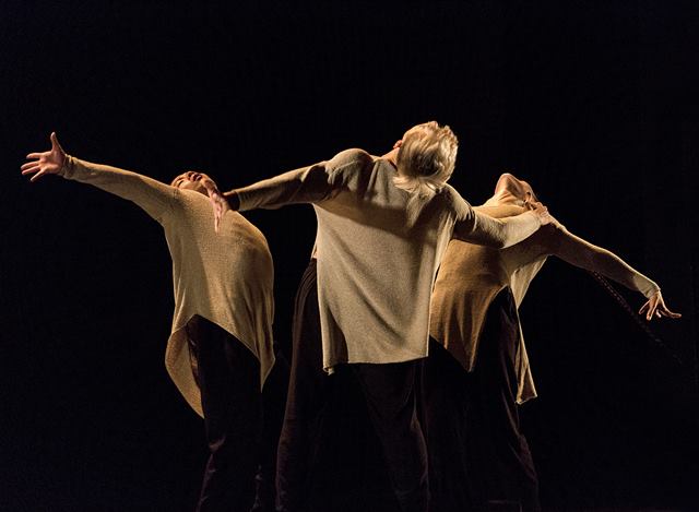 MASDANZA BIRDY