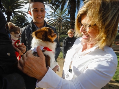 El Ayuntamiento patrocina la carrera Doggie Race