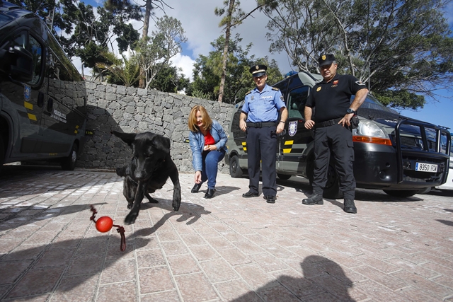 La Policía Local adopta a una labradora que fue abandonada en un barranco
