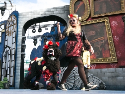 Tercer premio Channel Carnaval canino 2018
