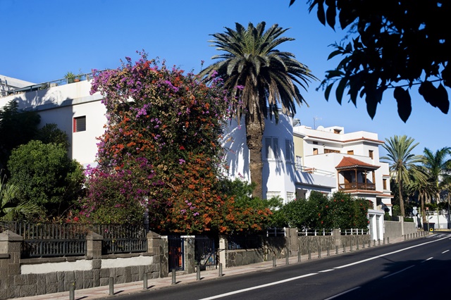 Calle de Ciudad Jardín