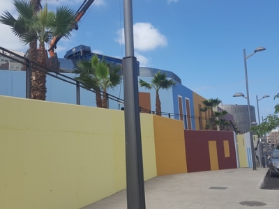 Palmeras de Luis Morote a San Nicolás 2