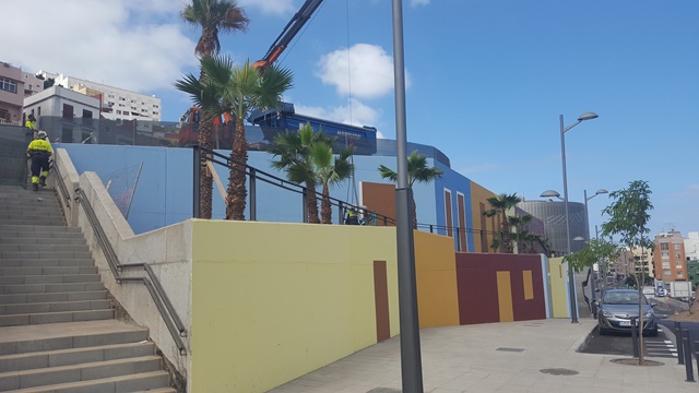Palmeras de Luis Morote a San Nicolás