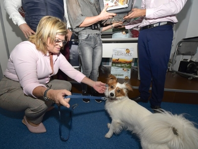 El Ayuntamiento premia las mejores fotografías de ciudadanos con sus perros para luchar contra el abandono 3