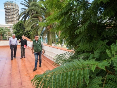 La Casa del Turismo acogerá una muestra de flora autóctona canaria 3