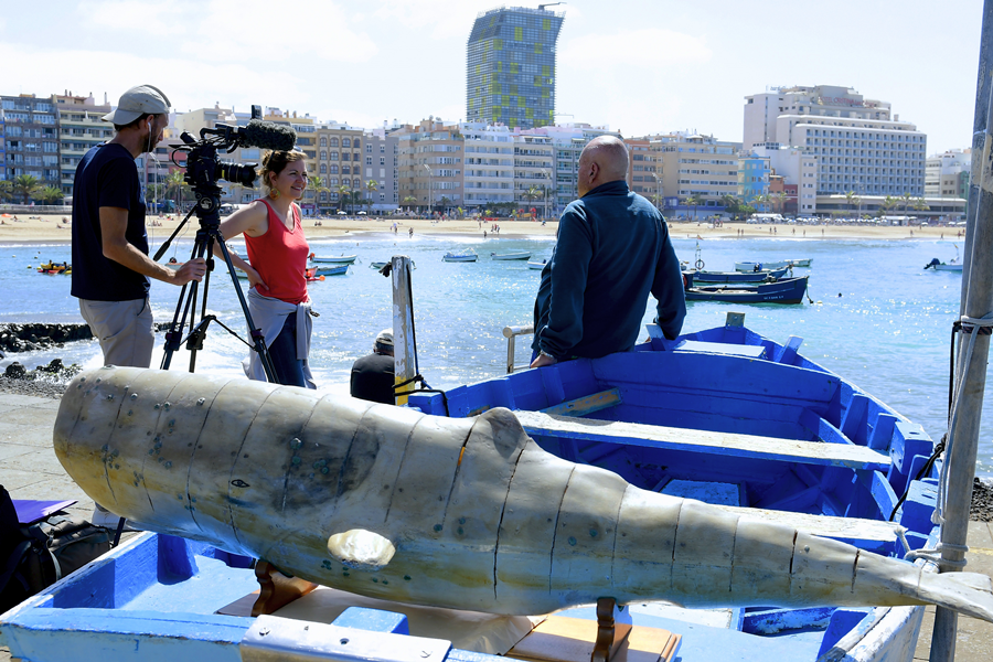 El canal franco alemán ARTE graba en la capital para recordar el rodaje de Moby Dick y la huella del compositor Camille Saint-Saëns