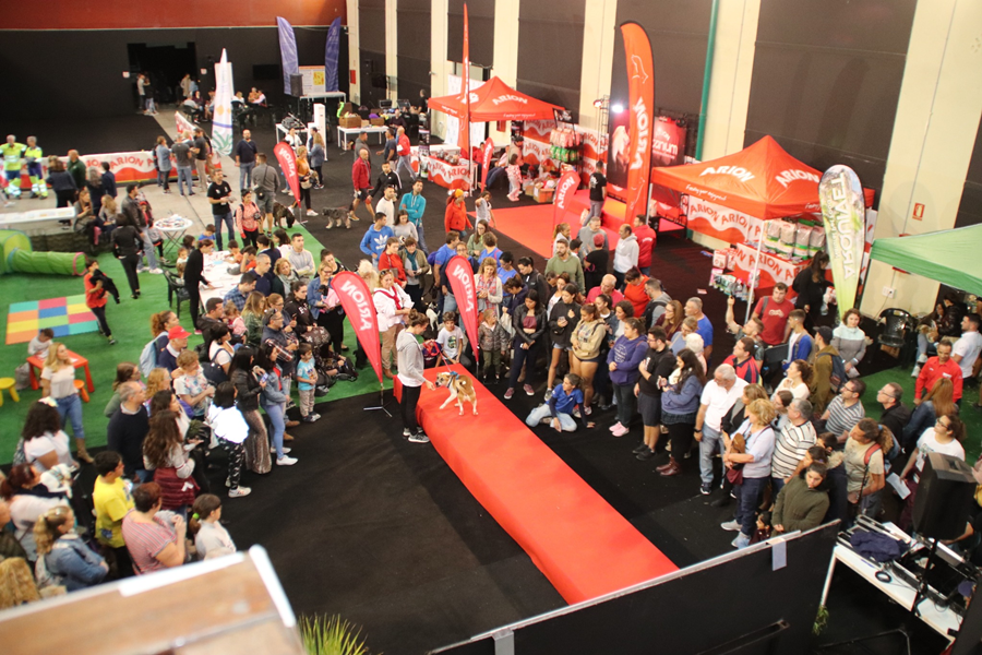 Más de 3.000 personas disfrutan con las exhibiciones caninas, charlas y talleres infantiles de la Feria Amigo Can LPGC